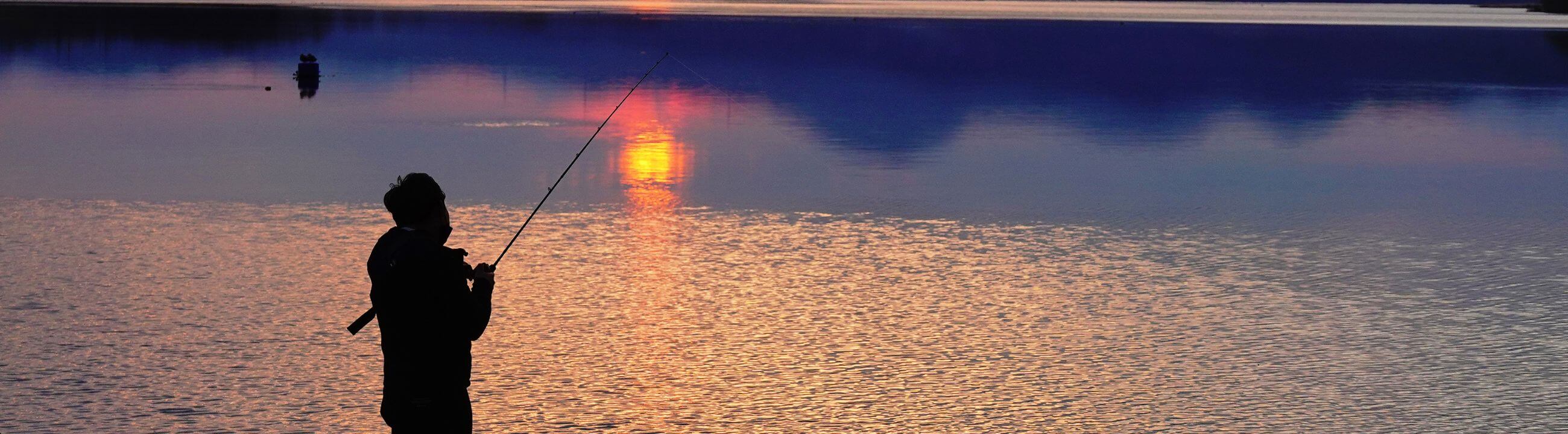 Cannes à pêche avec poids de lancer 10-40g sur brochetperche.fr