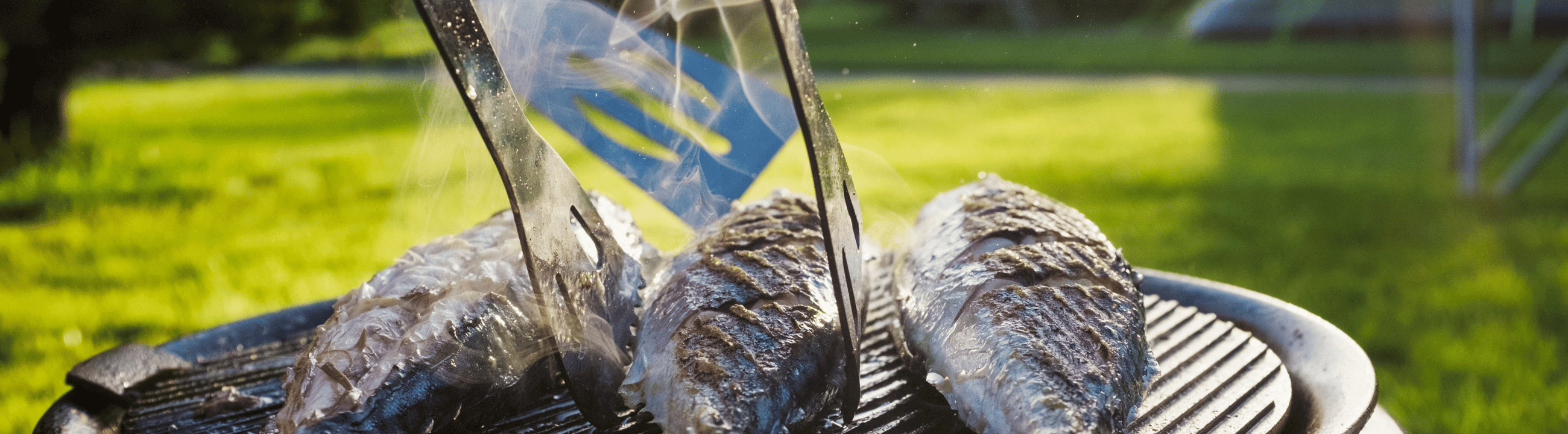 Catch & Cook sur brochetperche.fr