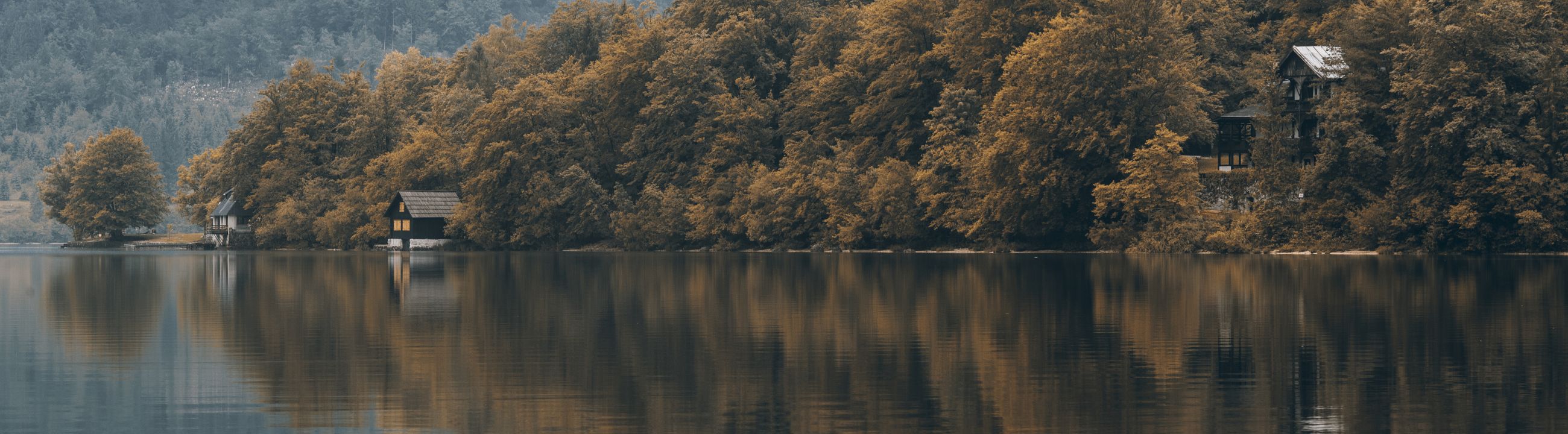 Épuisette de berge sur brochetperche.fr