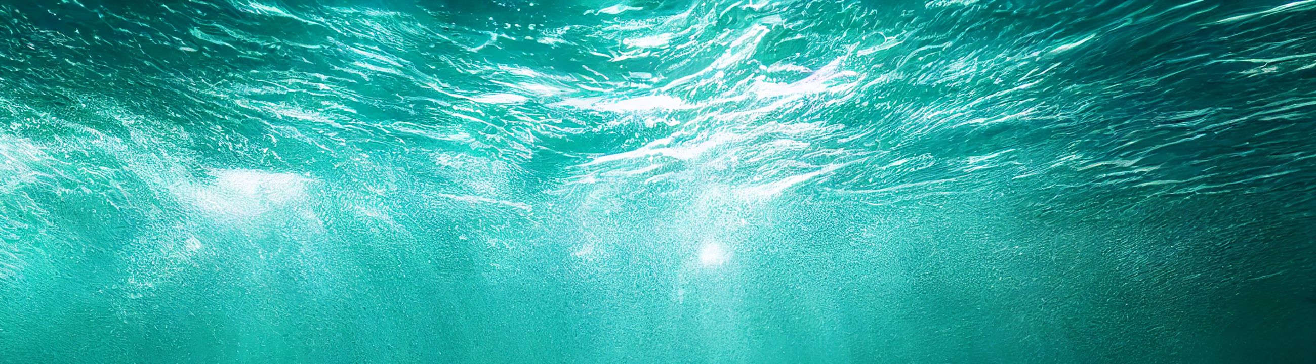 Leurres de pêche (Flottants / Flottabilité positive) sur brochetperche.fr