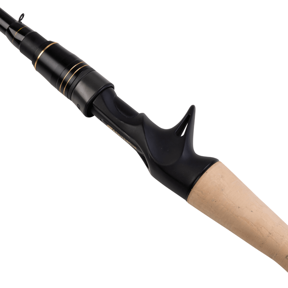 Abu Garcia RockSweeper (Casting) sur brochetperche.fr