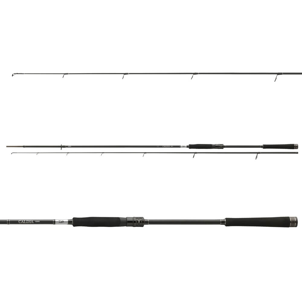 Daiwa Caldia Spin mit Griff und Spitze im Detail