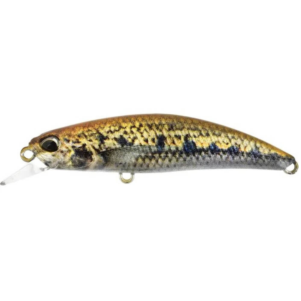DUO Spearhead Ryuki 60S sur brochetperche.fr