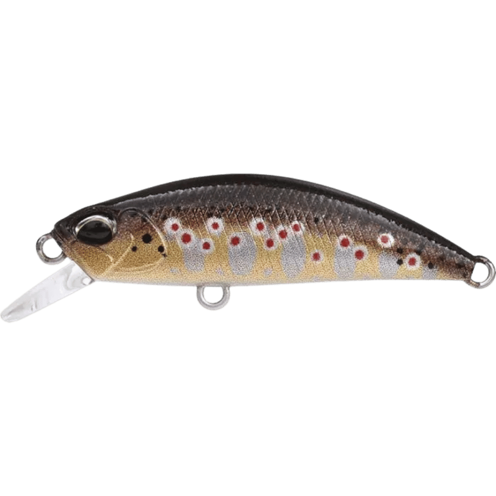 DUO Spearhead Ryuki 38S sur brochetperche.fr
