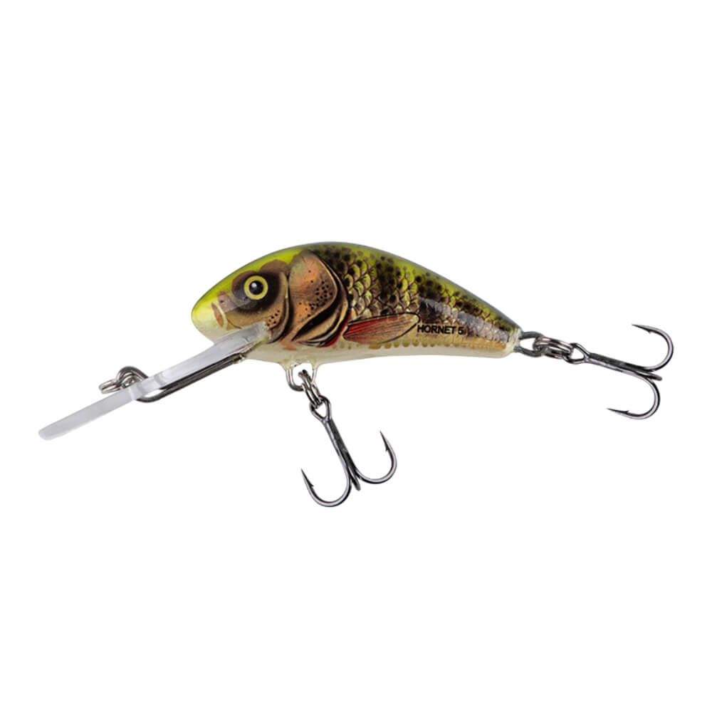 Salmo Hornet sur brochetperche.fr