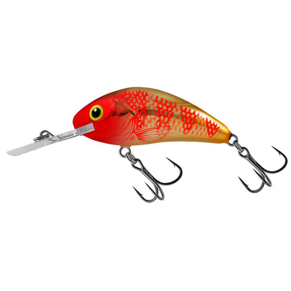 Salmo Rattlin Hornet 5,5 cm Floating Golden Red Head