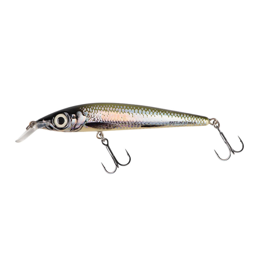 Salmo Rattlin' Sting sur brochetperche.fr