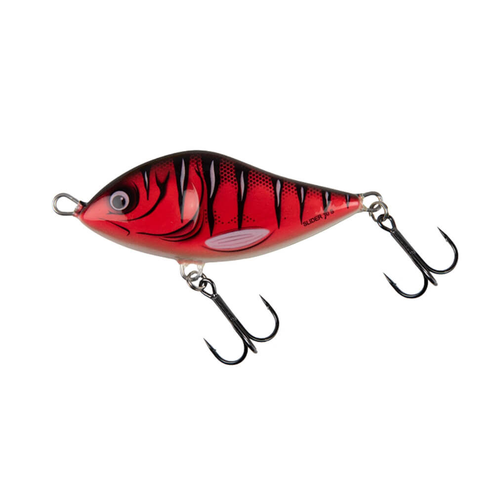 Salmo Slider sur brochetperche.fr