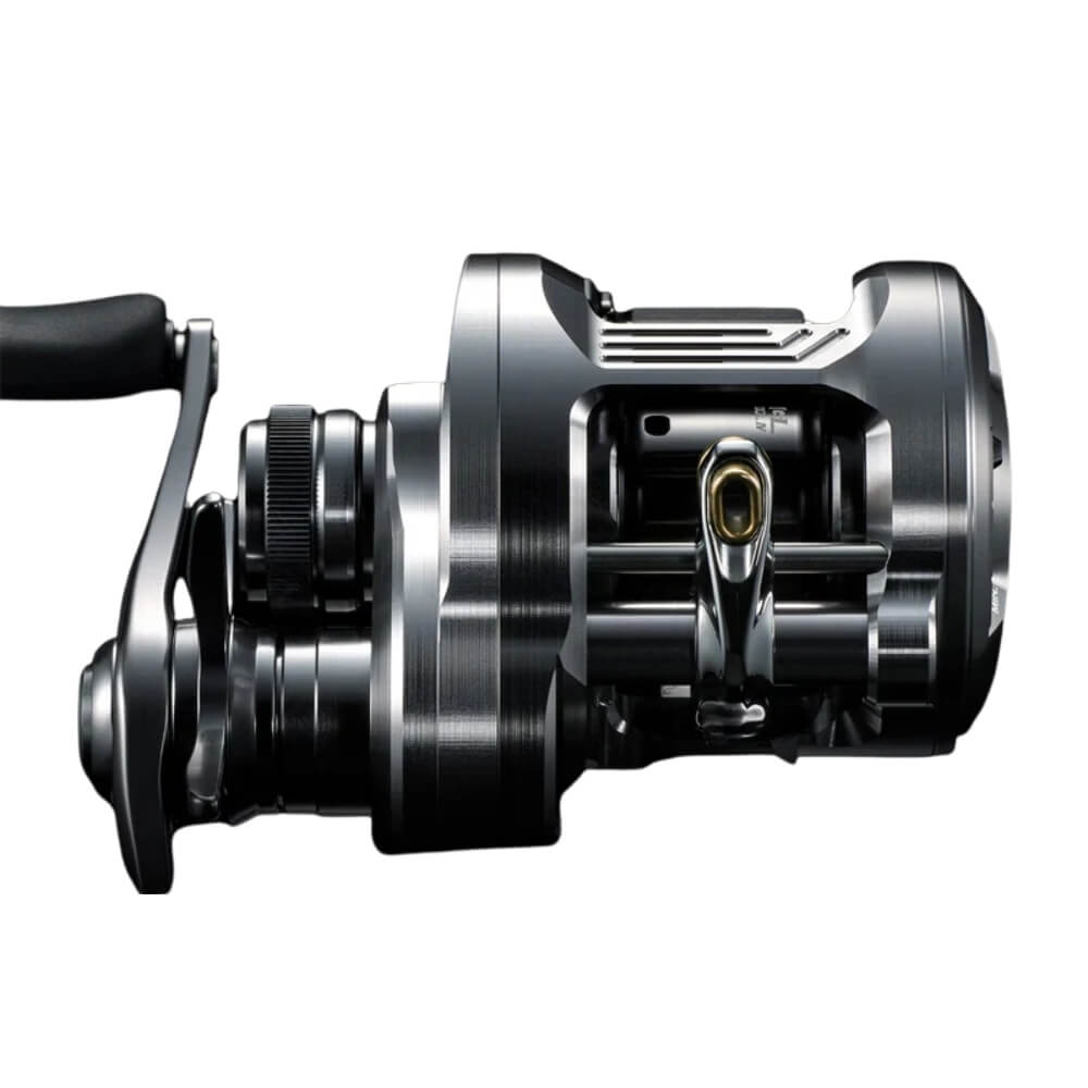 Shimano Calcutta Conquest DC A sur brochetperche.fr