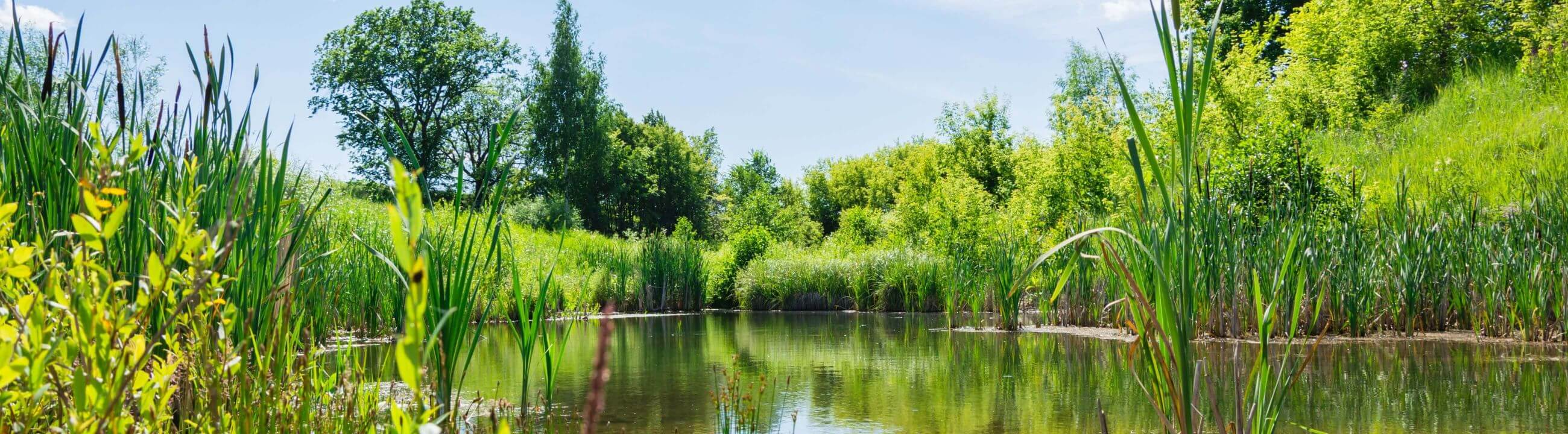 Deadbait Rig sur brochetperche.fr