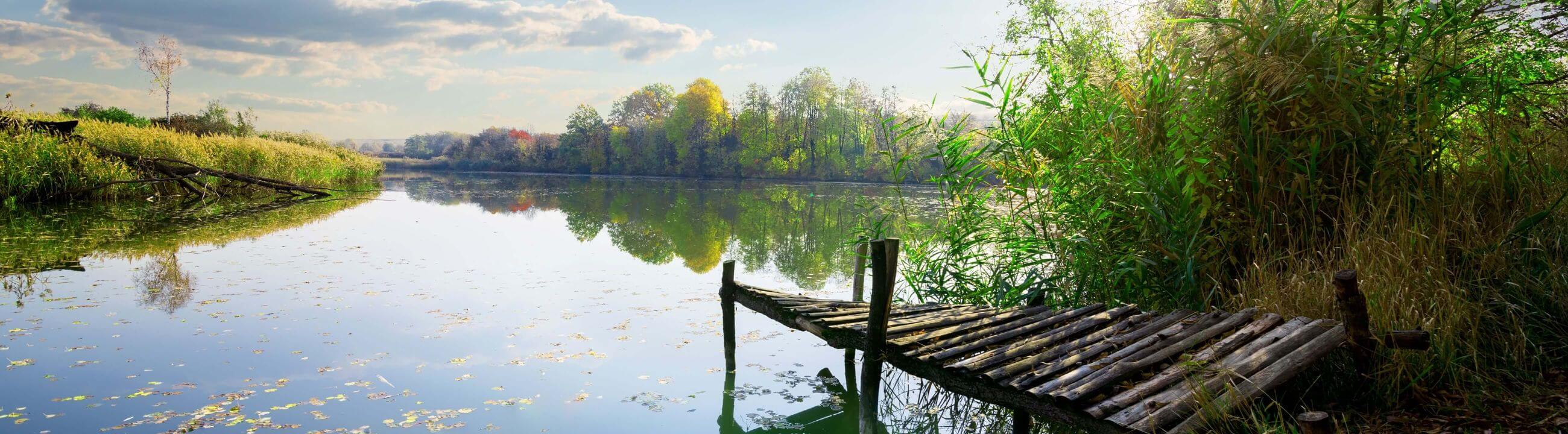Épuisettes Deadbait sur brochetperche.fr