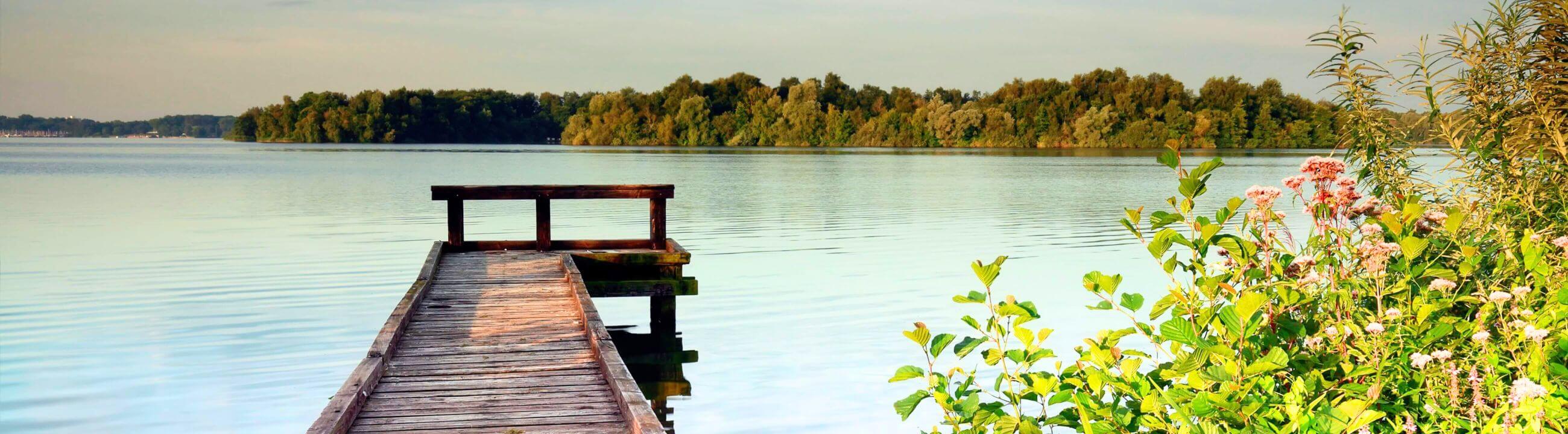 Poids pour appâts naturels sur brochetperche.fr