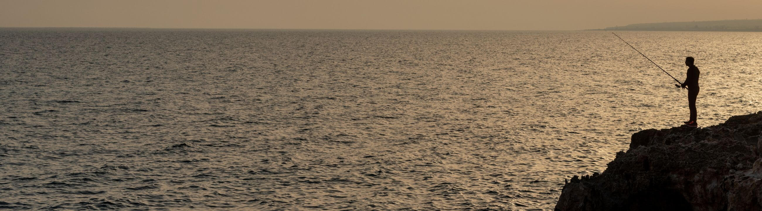 Cannes Drop Shot sur brochetperche.fr