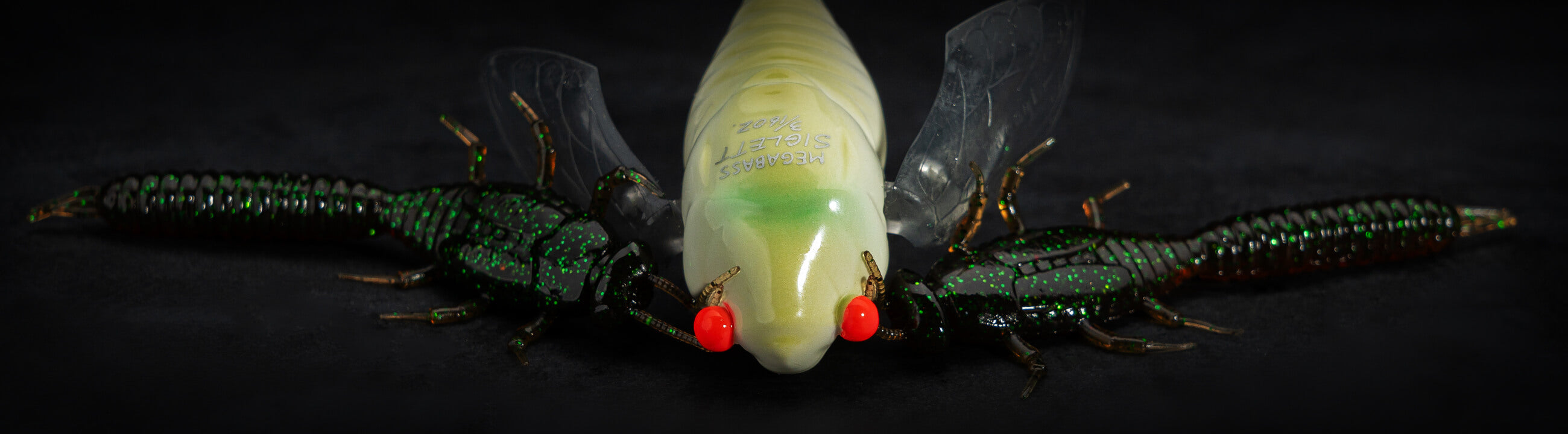 Insectes sur brochetperche.fr