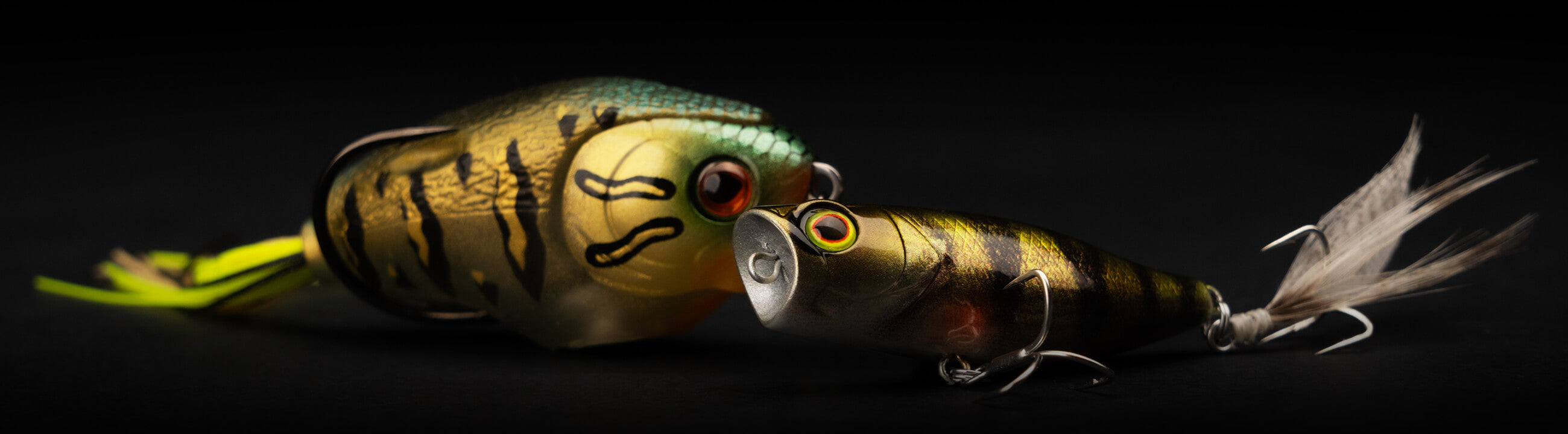 Topwater Leurres sur brochetperche.fr