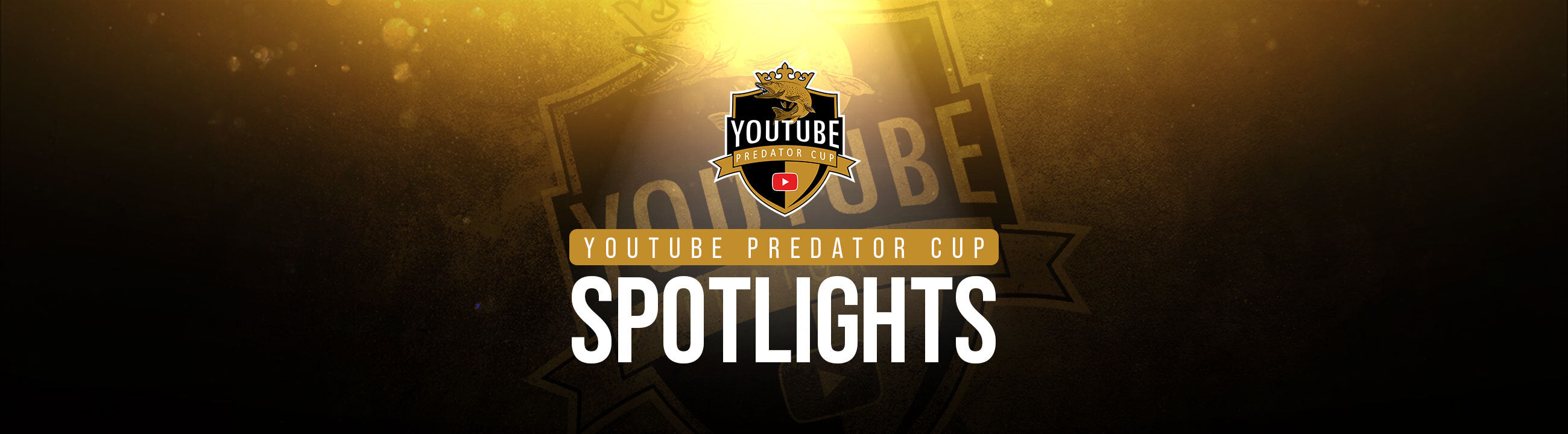 YPC Spotlight sur brochetperche.fr