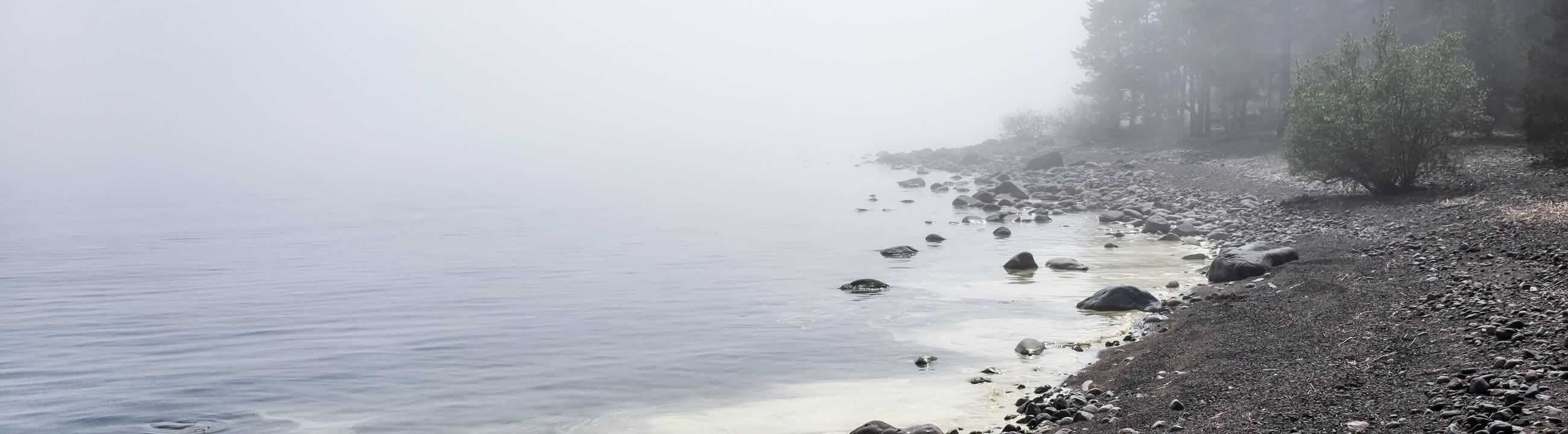 Leurres de pêche (Suspending / Coulant lent) sur brochetperche.fr
