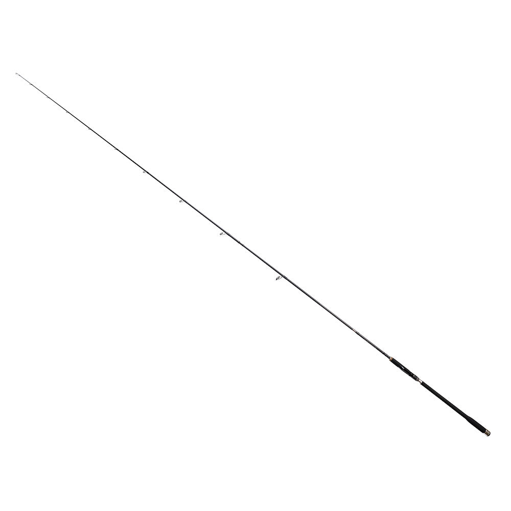 Bullseye Coastguard 310 10 45 g