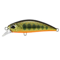 Avis de Lukas sur le produit Spearhead Ryuki 38S Gold Yamame (MCC4084)