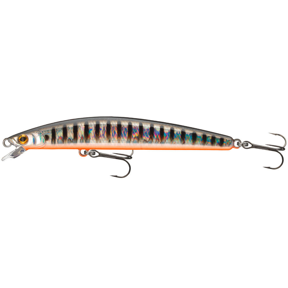Daiwa Tournament TN Minnow 95SP und 120SP Aurora Zebra