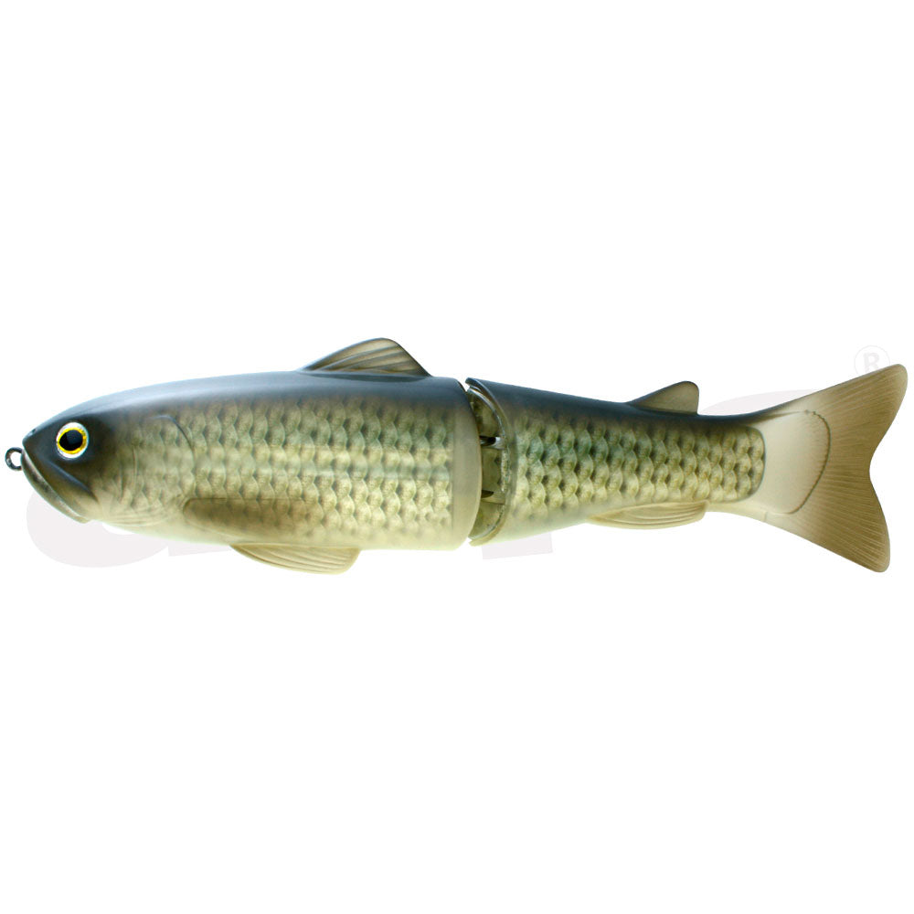 Deps New Slide Swimmer 250 SS Flash Carp