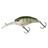 Avis de Markus W sur le produit Gigan 55 F Green Perch
