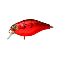 Avis de Albert sur le produit Chubby 38 | Floating Red Craw