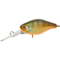Avis de Torsten sur le produit Deep Diving Chubby 38 | Floating Aggressive Perch