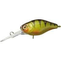 Avis de Torsten sur le produit Deep Diving Chubby 38 | Floating Perch