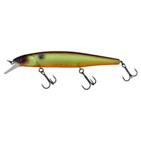 Avis de Ole sur le produit Mag Squad 128 SP Muddy Roach