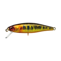 Avis de Olaf sur le produit Tiny Fry 38 SP HL Gold Trout