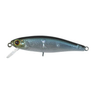 Avis de Olaf sur le produit Tiny Fry 38 SP NF Ablette