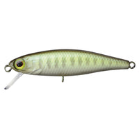 Avis de Olaf sur le produit Tiny Fry 38 SP Vairon