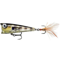Avis de Anonym sur le produit X-Light Pop Glassy Gill UV