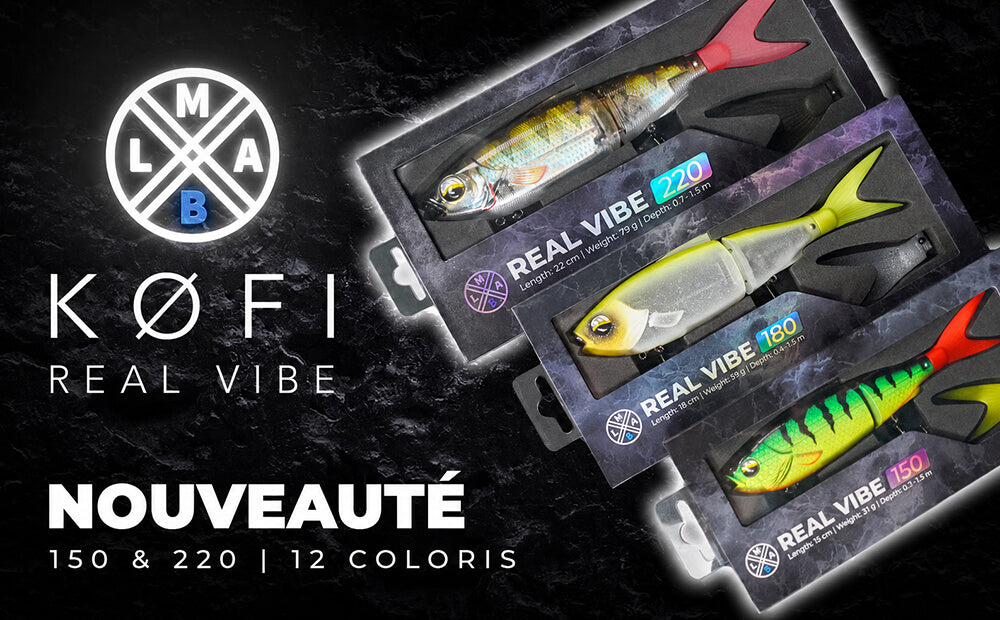 Real Vibe 150 et 220