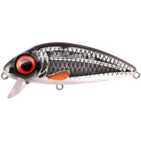 Avis de Erik sur le produit Iris Flanky 9 cm | 22 g Roach