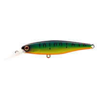 Avis de Sven sur le produit Squirrel 61 SP Mat Tiger