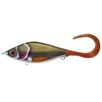 Avis de Tobias sur le produit Guppie Junior Shallow 11 cm Kemijokki - Motoroil Glitter