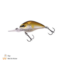 Avis de Jörg sur le produit Danny 2.0 5,5 cm / 2,5 m Ayu