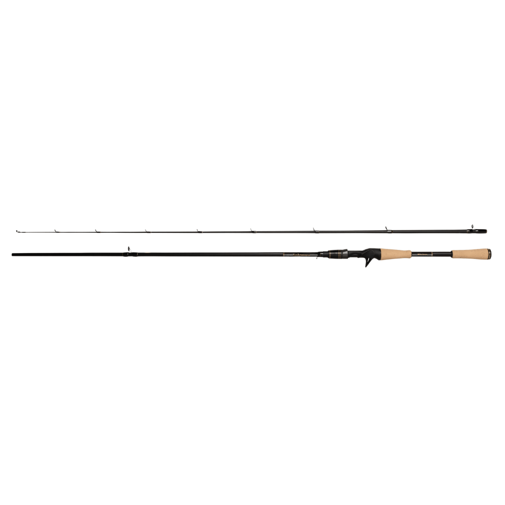 Abu Garcia RockSweeper (Casting) sur brochetperche.fr