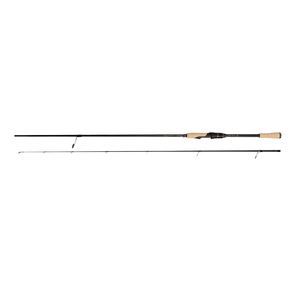 Abu Garcia RockSweeper (Spinning) sur brochetperche.fr