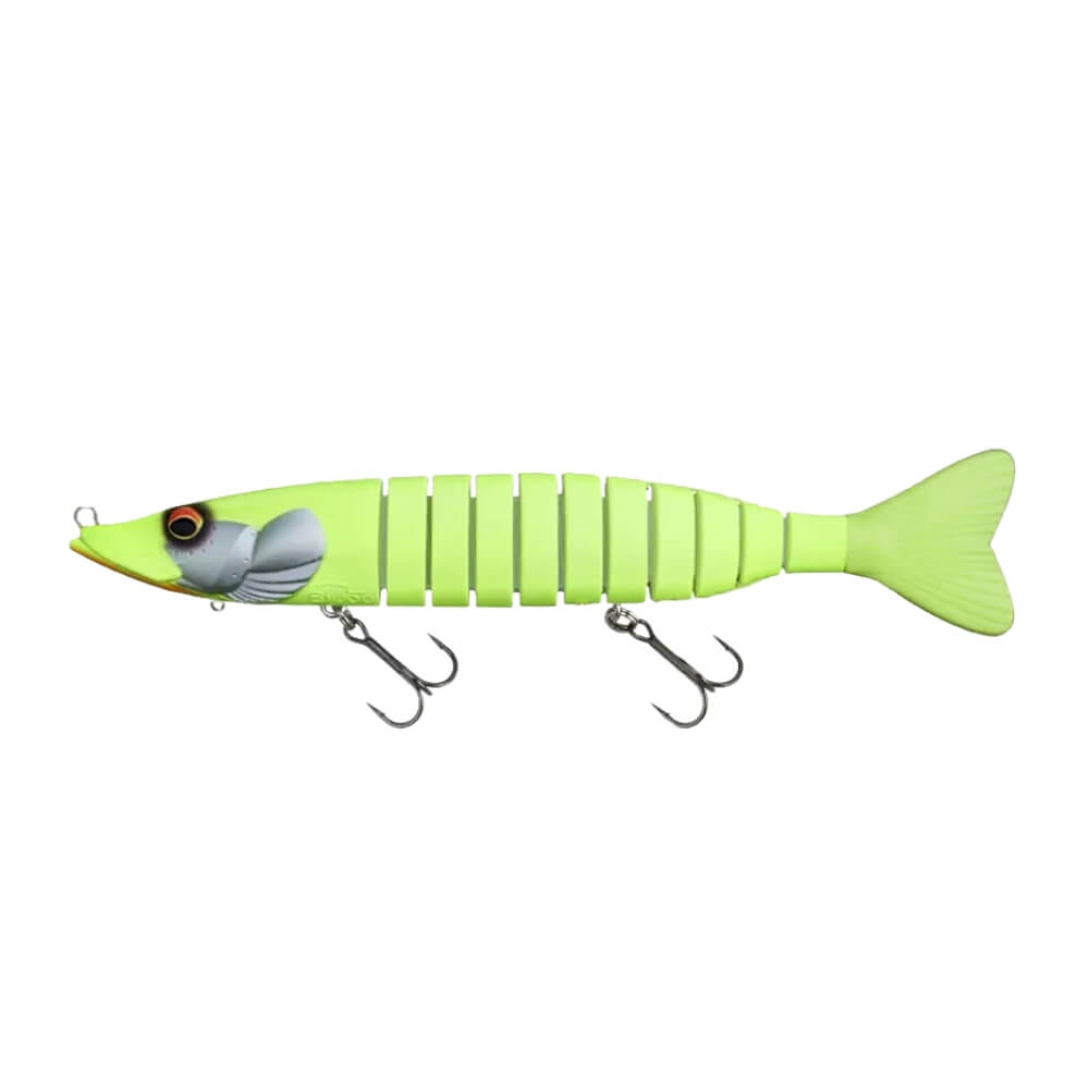 Biwaa Swimpike sur brochetperche.fr