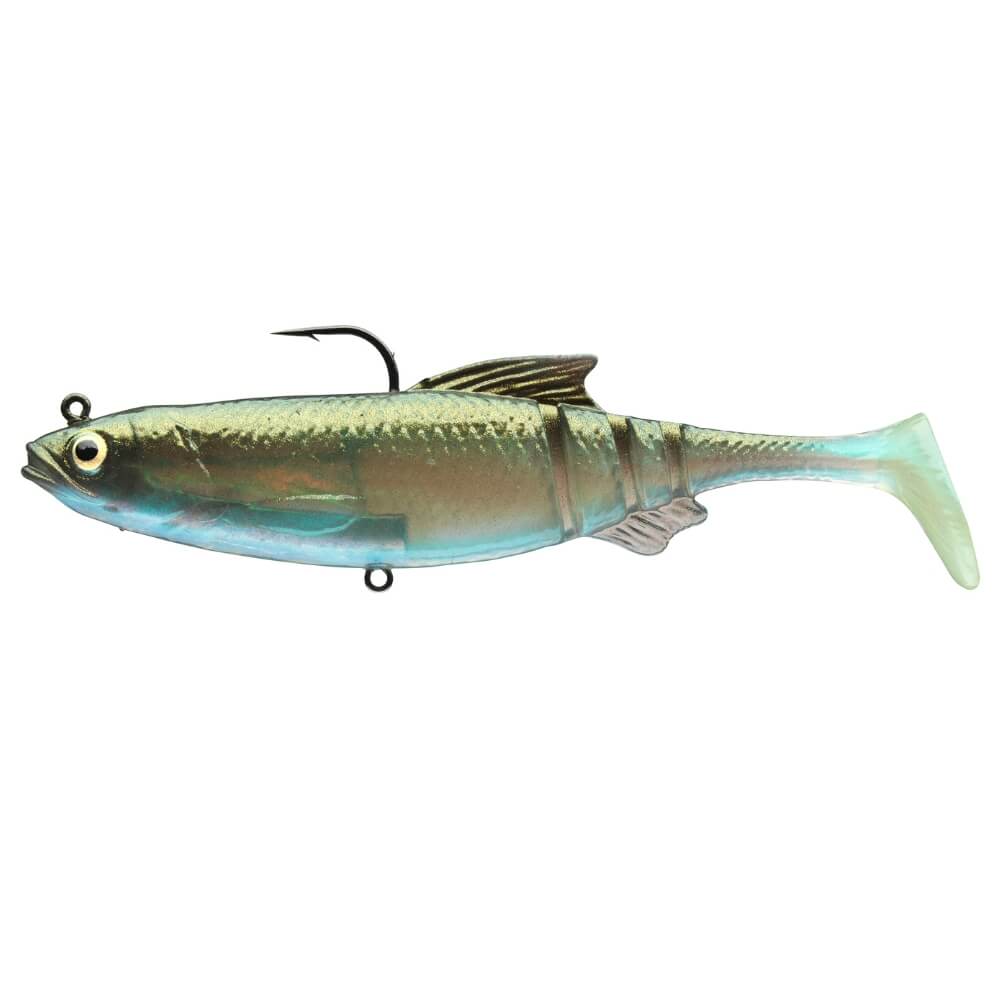 Daiwa Prorex Lazy Roach RD Green Bleak