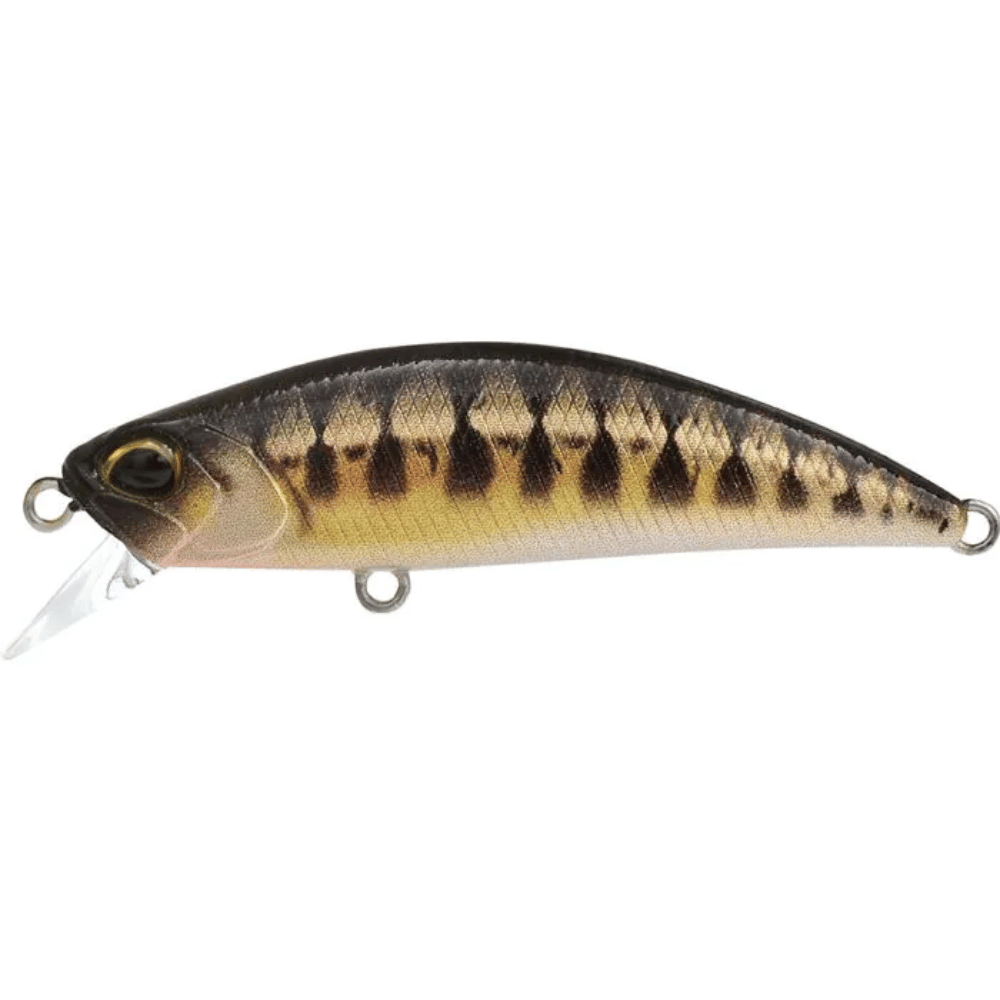 DUO Spearhead Ryuki 50SP sur brochetperche.fr