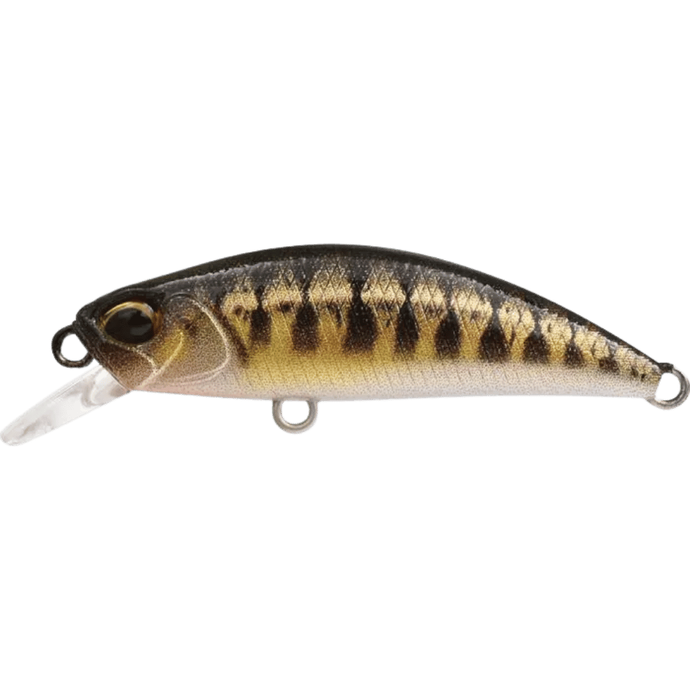 DUO Spearhead Ryuki 38S sur brochetperche.fr