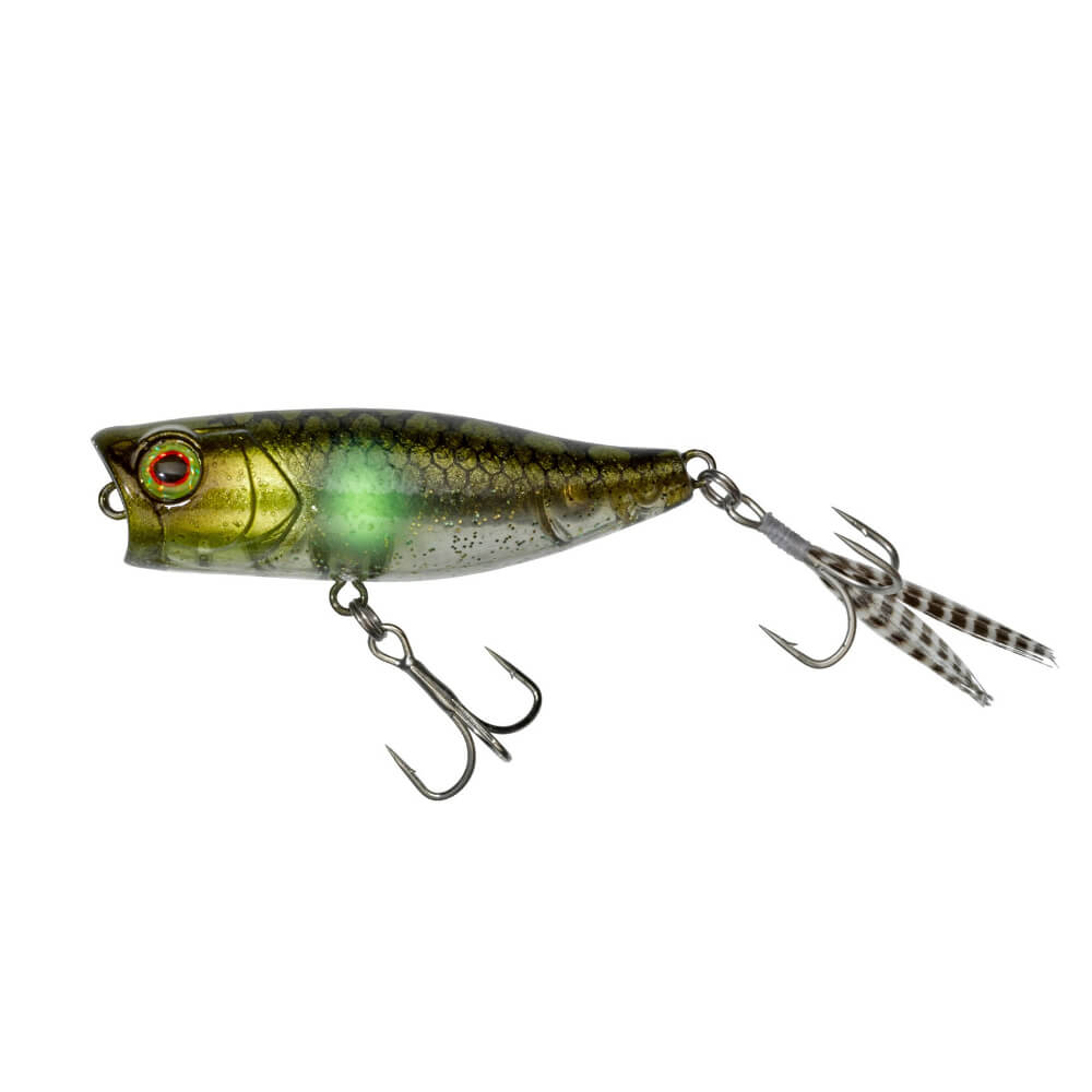 Jackall Chubby Popper 42 sur brochetperche.fr