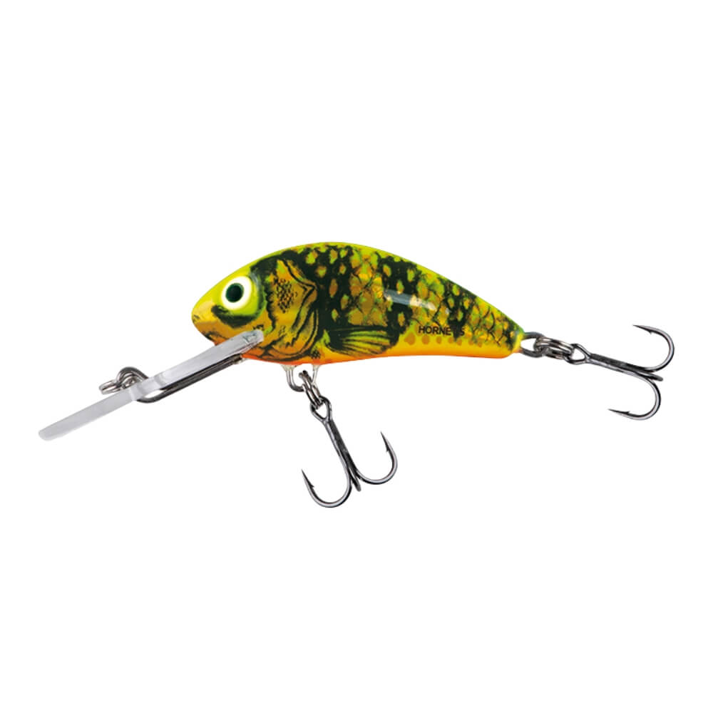 Salmo Hornet sur brochetperche.fr
