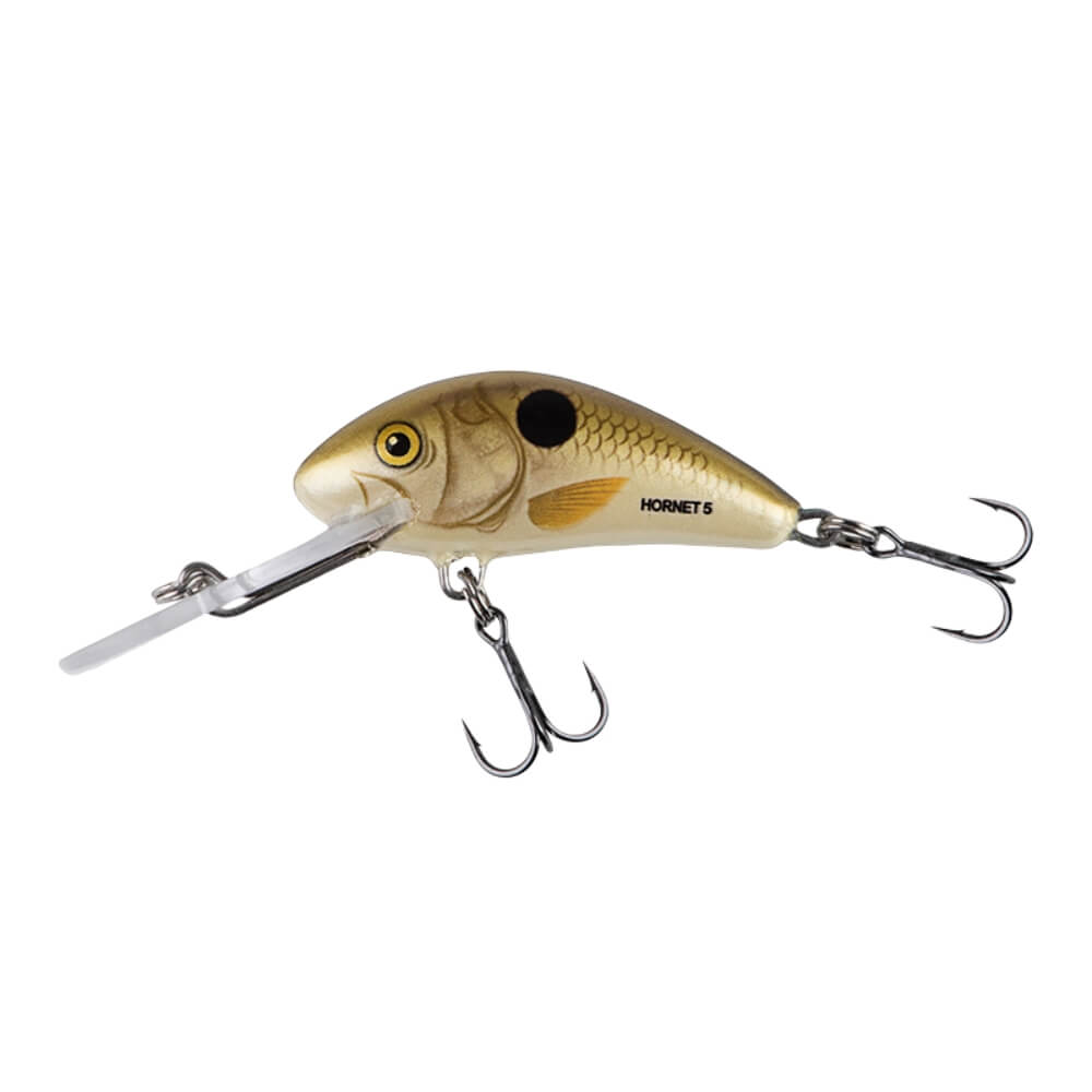 Salmo Hornet sur brochetperche.fr