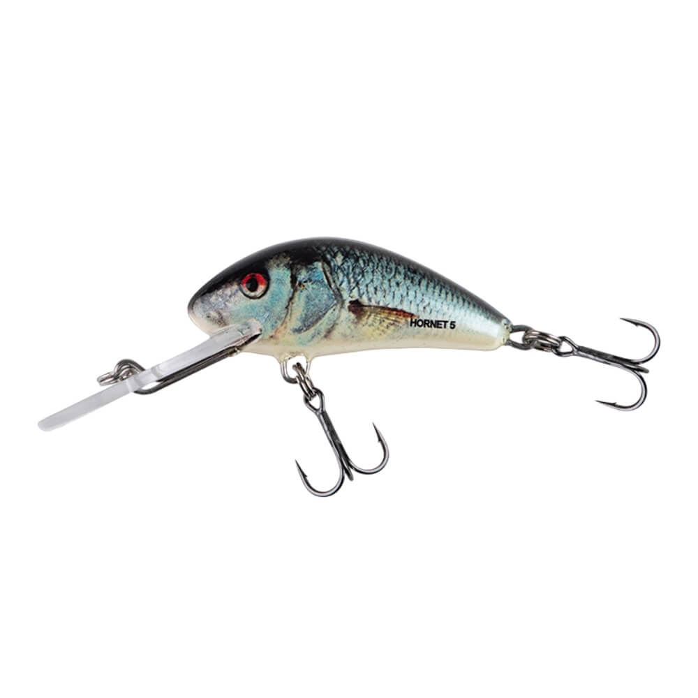 Salmo Hornet sur brochetperche.fr