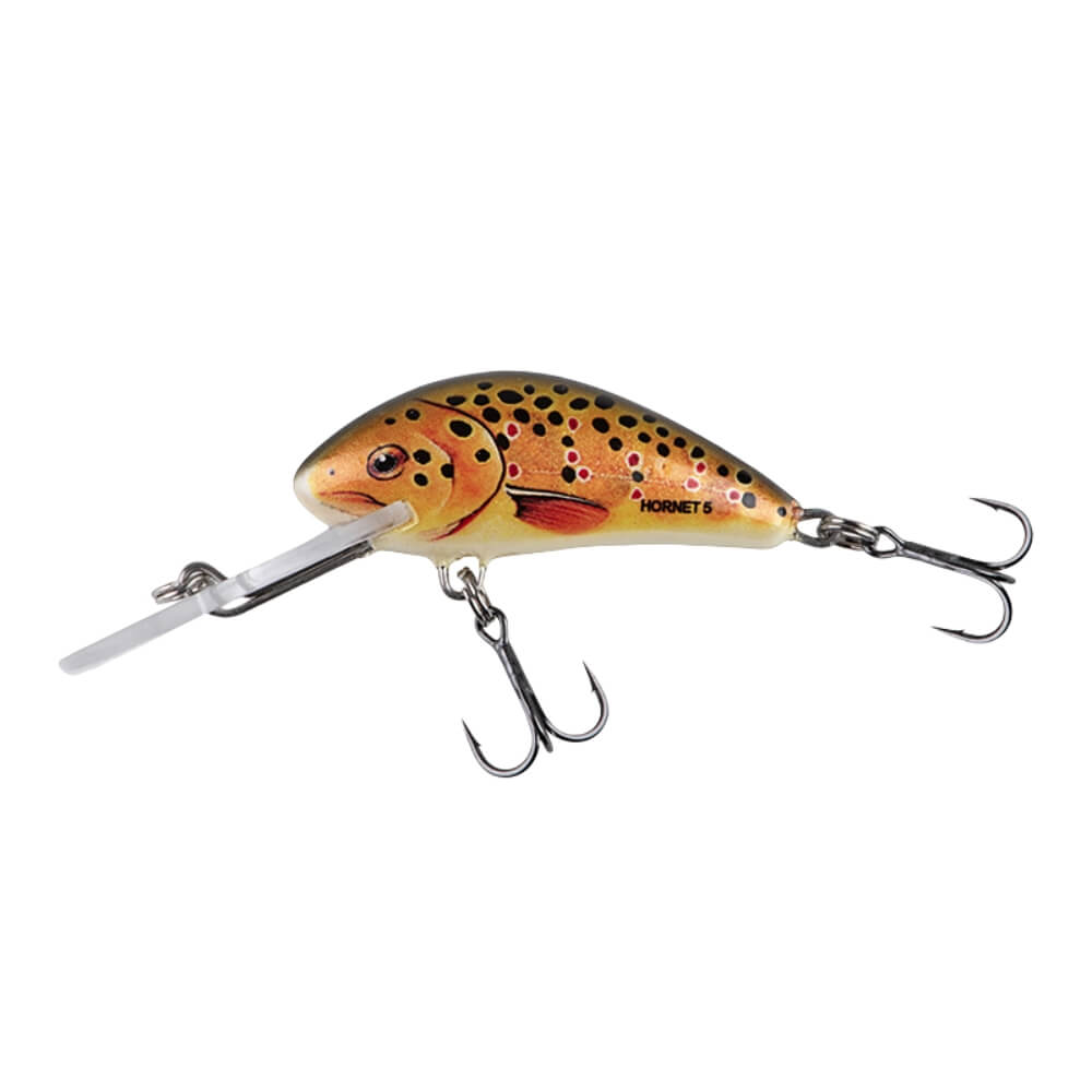 Salmo Hornet sur brochetperche.fr